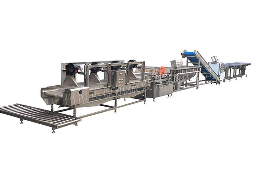 葉菜凈菜加工設(shè)備生產(chǎn)線